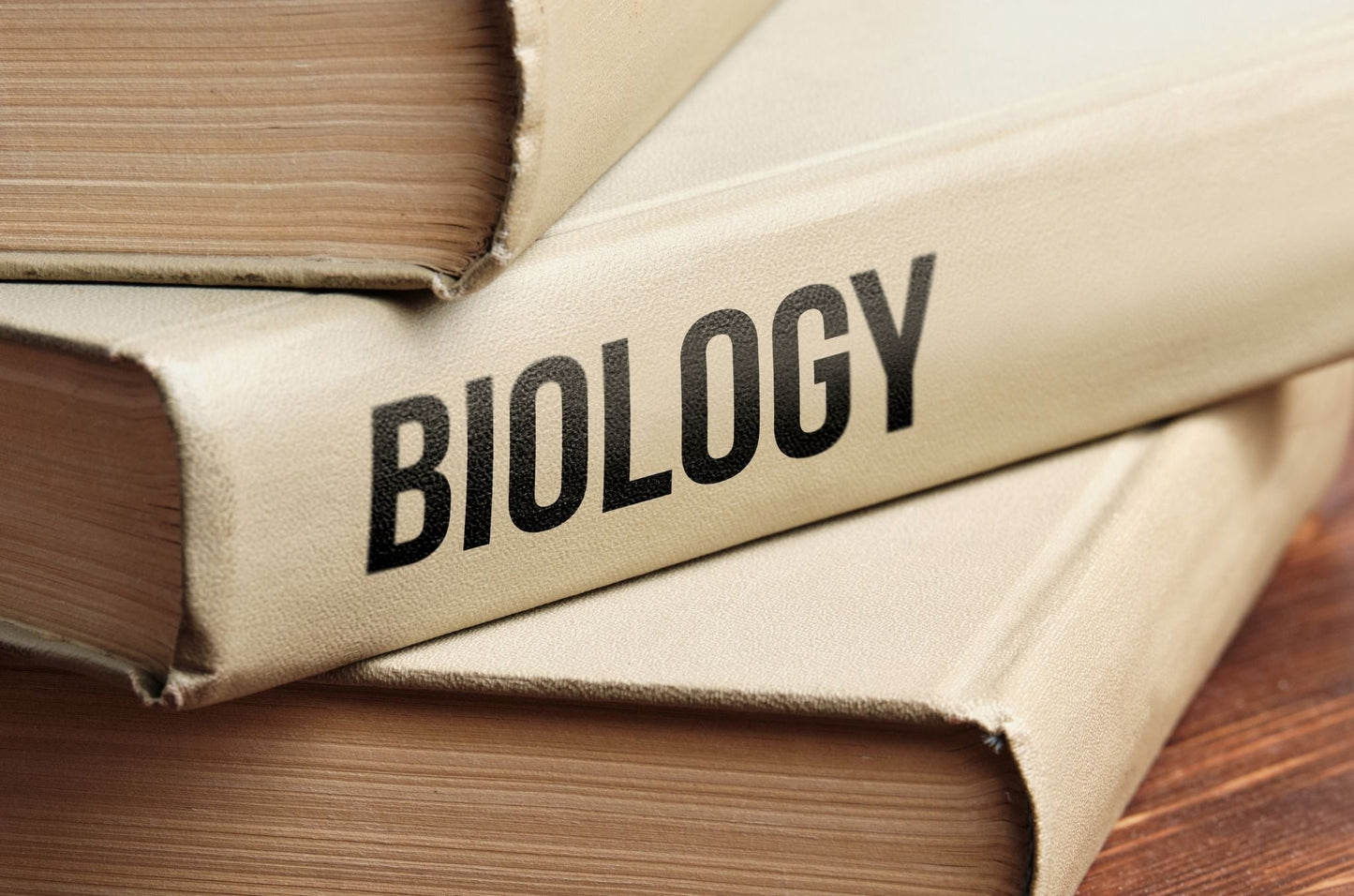 Biology - Semester 2