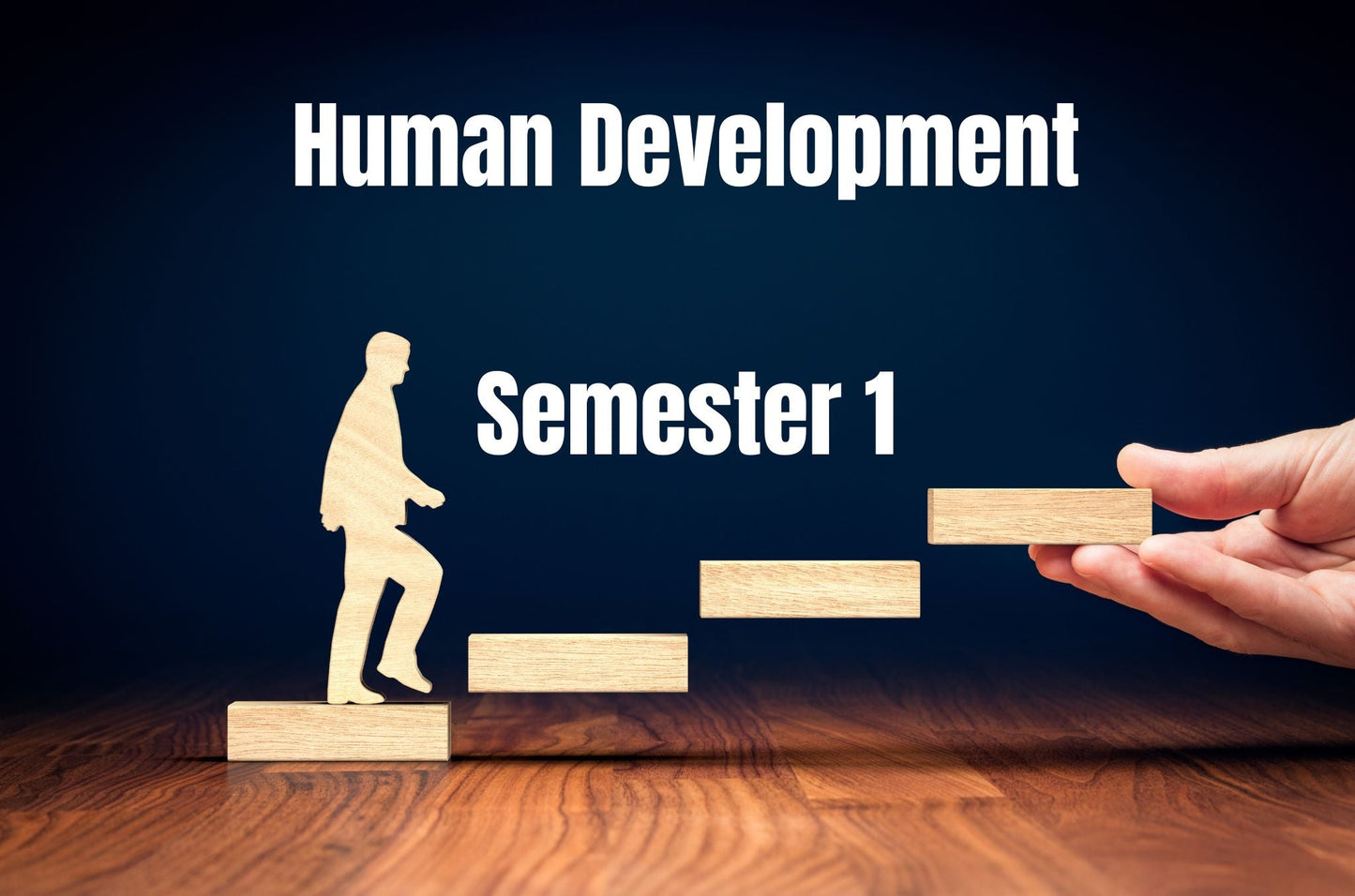 Human Development, Semester 1